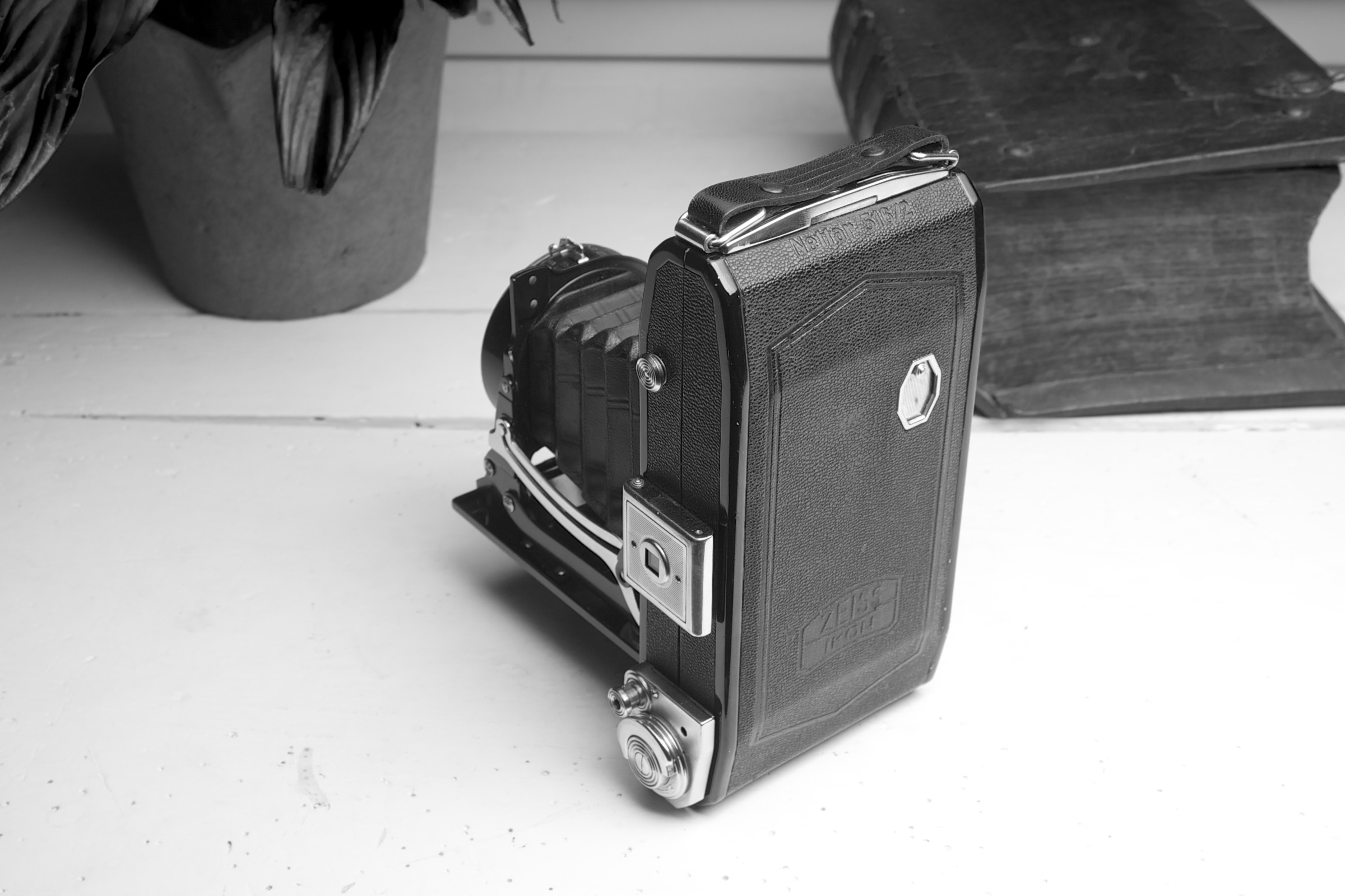 Zeiss Ikon Nettar 516/2